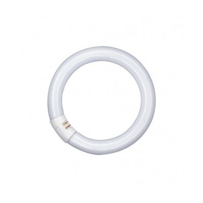 L 22W 865 C LEDVANCE (4008321581105)